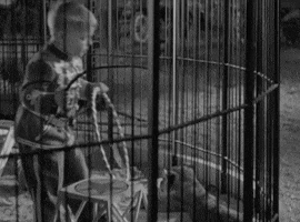 classic film training GIF by Warner Archive