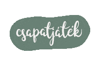 Fesztival Sticker by Gombaszög