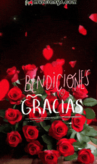 Gracias Flores GIF by Murcianys LLC