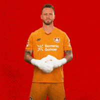 Bayer 04 Bundesliga GIF by Bayer 04 Leverkusen