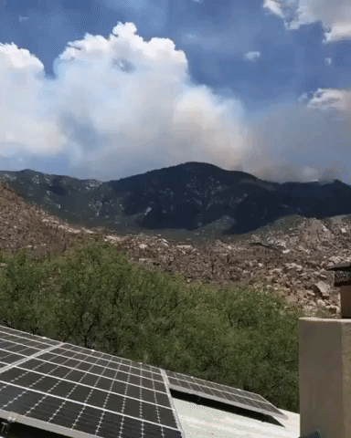 Evacuations Ordered as Bighorn Fire Spreads Through Arizona Mountains