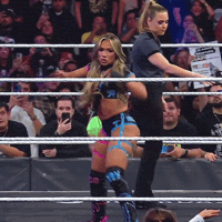 Wwe Raw Fight GIF