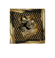 Art Design Sticker by Dr. Sindsen