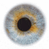 eye colour GIF