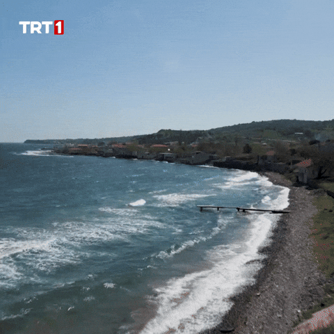 Summer Water GIF by TRT