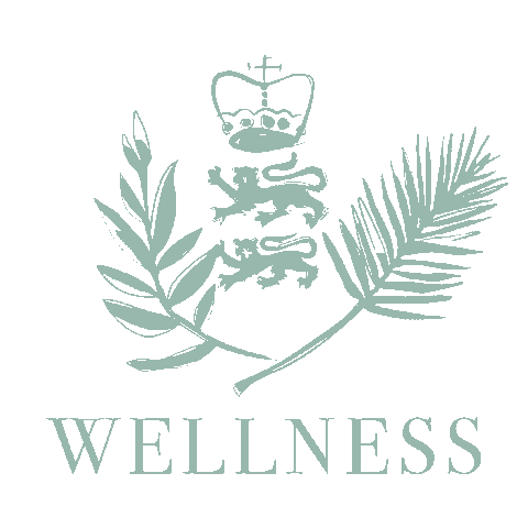 MarbellaClub giphyupload healthy wellness lifestyle Sticker