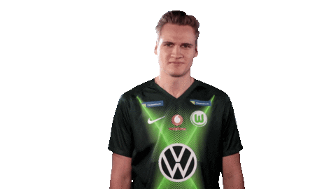 Sport Instagram Sticker by VfL Wolfsburg