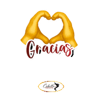 Houston Sticker by Cabello Perfecto