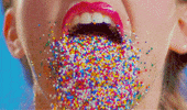 smackaysmith indulge GIF