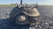 Face Monday GIF by U.S. Fish and Wildlife Service