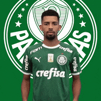 Palmeiras soccer smile haha futebol GIF