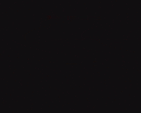 Fashion Show GIF