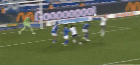 kareljedlika giphyupload GIF