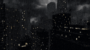 GIF by Payne Records