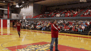 nicholls GIF by GeauxColonels