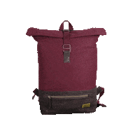 Travel Travelling Sticker by sperling bags