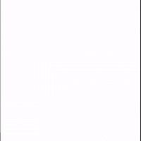 GIF by SIMPLY