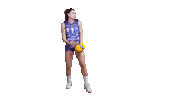 Volleyball Sticker by Vero Volley Monza