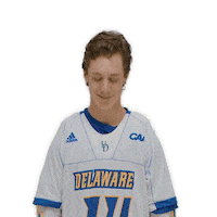 ncaa sports dance Sticker by Delaware Blue Hens