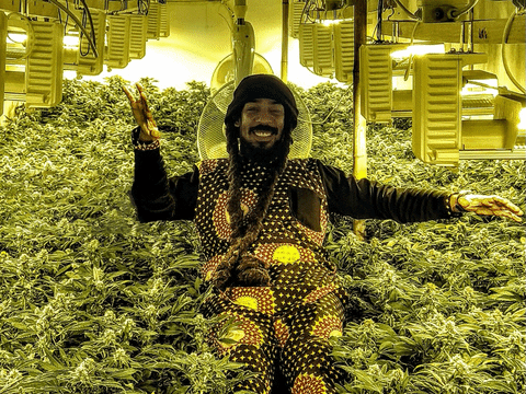 cali p fun GIF