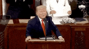 Donald Trump GIF by GIPHY News