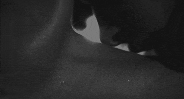 cuddle love GIF