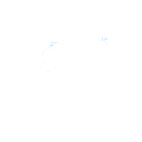 Oscar 2000S Sticker by BOBO