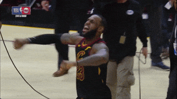winning lebron james GIF by NBA