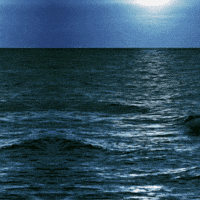 World War 2 Women GIF by TeaCosyFolk