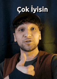 sqlic  GIF