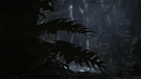 Explore Dark Souls GIF by BANDAI NAMCO