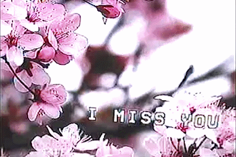 glitchedmemories giphyupload GIF