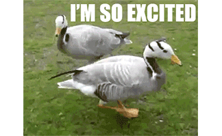 happy i'm so excited GIF