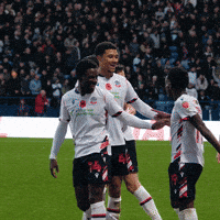 Goal Celebrations GIF by Bolton Wanderers FC