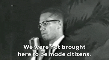 Malcolm X GIF by GIPHY News