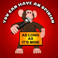 Point Of View Perspective GIF