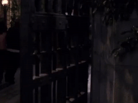 season 5 netflix GIF by Gilmore Girls 