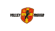 Orogranata Sticker by Volley Treviso