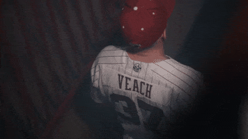 South Carolina Baseball GIF by gamecocksonline