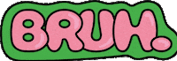 Bruh GIF by Litchy