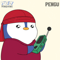 Lets Go GIF by Pudgy Penguins