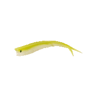 Fishing Bait Sticker by LURA LURES