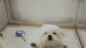 awe freakout GIF by WE tv