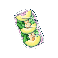 rainbowrolls noodles delicioso tofu aguacate Sticker
