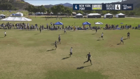 flikulti ultimate frisbee flik GIF