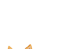 Puppy Love Dog Photography Sticker by puppytales