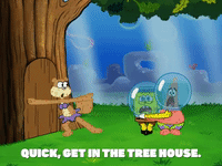 season 5 episode 10 GIF by SpongeBob SquarePants