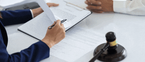 wiebecriminaldefence giphyupload GIF