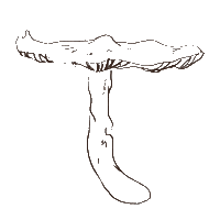 Kaylvalentinee mushroom shroom kaylvalentinee kayleighvalentine Sticker