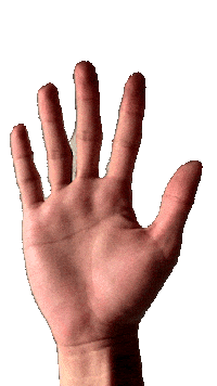 Hand Gesture Sticker